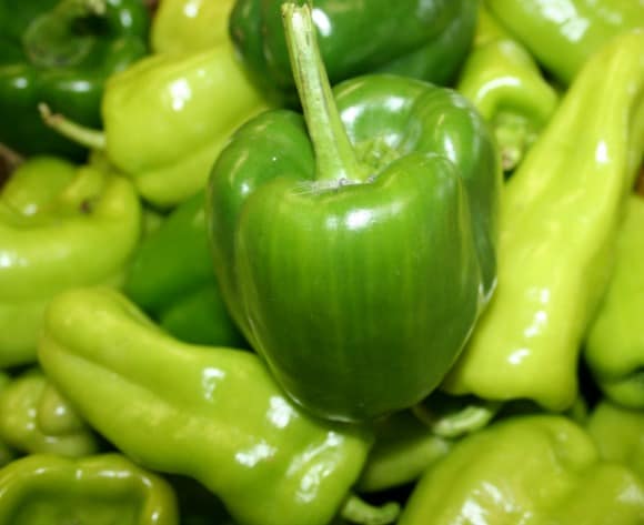 Beginning Peppers from Seeds – Dwelling Backyard Pleasure